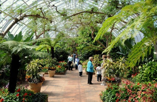 Greenhouse trapping solar radiation - Greenhouse effect for kids