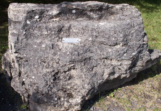 Limestone - Sedimentary rocks for kids