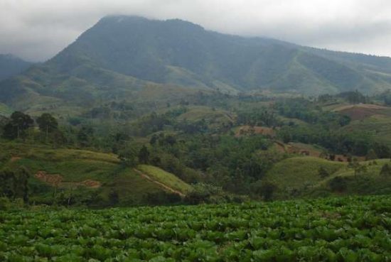 Mount Kitanglad Natural Park in Philippines - Philippines facts for kids