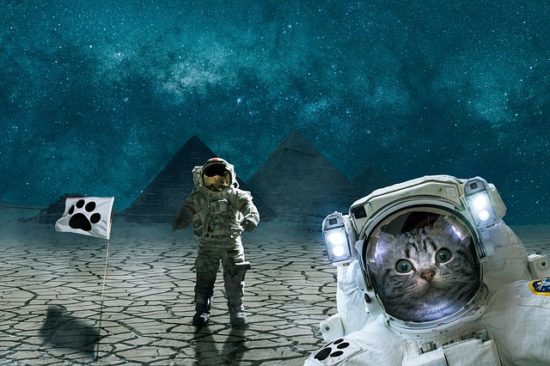 Should we send animals to space? – Facts For Kids