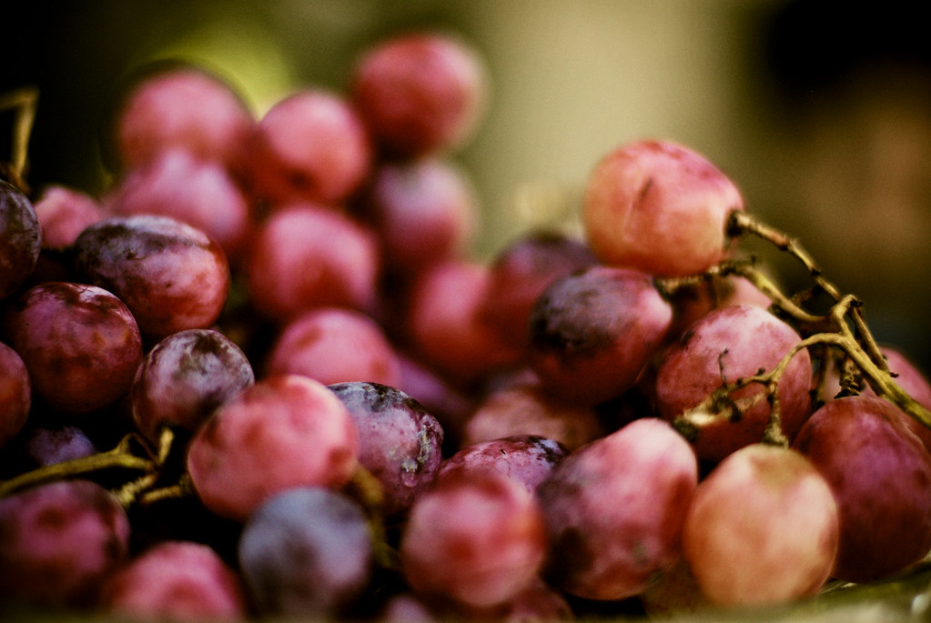 Grape Facts For Kids: One Of The Most Popular Types Of Fruits In The World!